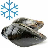 COZZE INTERE S/V 5pzx1kg